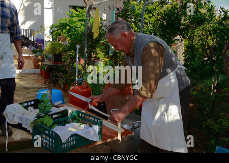 Countrymen cutting pig intestines in order to make sausages, Ibiza traditional pig slaughter Stock Photo