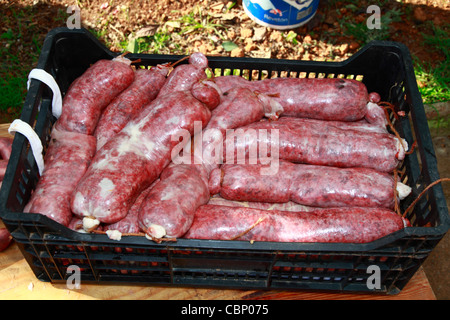 Freshly made sausages waiting to be cooked, Ibiza traditional pig slaughter Stock Photo