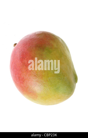 Fresh Ripe Whole Colourful Tropical Mango Fruit Ready To Eat Isolated Against A White Background With A Clipping Path And No People Stock Photo