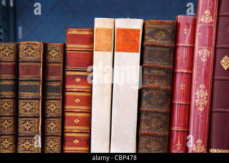 Antiquarian books standing on a shelf Stock Photo