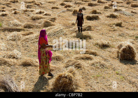 Female agricultural worker and child at Jaswant Garh in Rajasthan, Western India Stock Photo