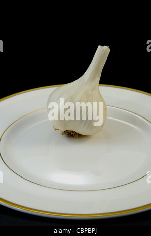 A bulb of hardneck porcelain garlic (music variety) on a gold-rimmed plate with black background. Stock Photo