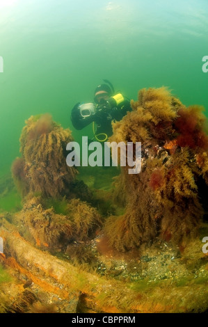 Underwater wreck - mine trawler 'Collective farmer', submerged on the Black sea in Ukraine. Stock Photo