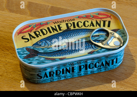 An unopened tin of Waitrose Sardine Piccanti - sardine fillets in olive oil with hot chilli. Stock Photo