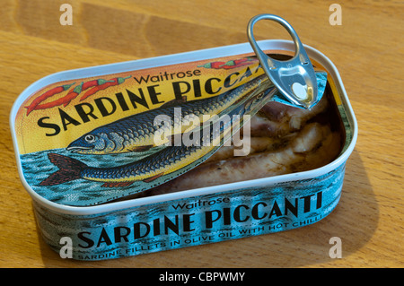 An opened tin of Waitrose Sardine Piccanti - sardine fillets in olive oil with hot chilli.
