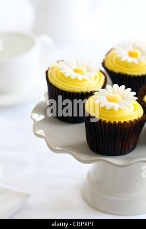 Daisy cupcakes Stock Photo