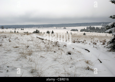 snow landscape in the Ardennes, Belgium Stock Photo