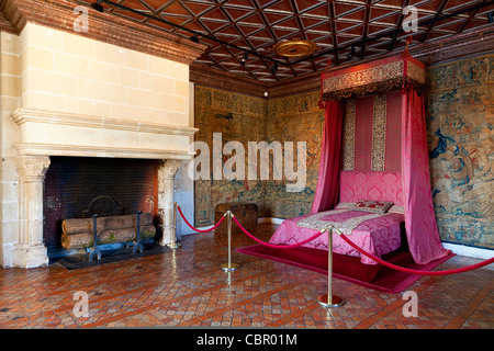 Loire Valley , Chateau de Chenonceau Stock Photo