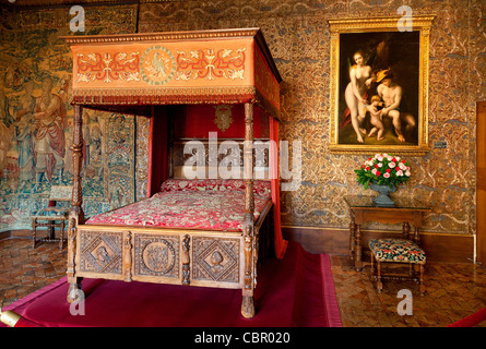 Loire Valley , Chateau de Chenonceau Stock Photo