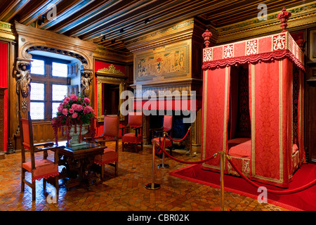 Loire Valley , Chateau de Chenonceau Stock Photo