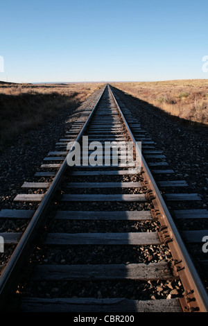 railroad tracks extend straight to the horizon Stock Photo