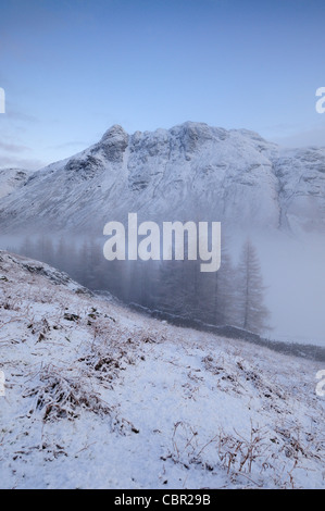 Langdale Pikes rising above snowy pine trees and the misty Mickleden ...