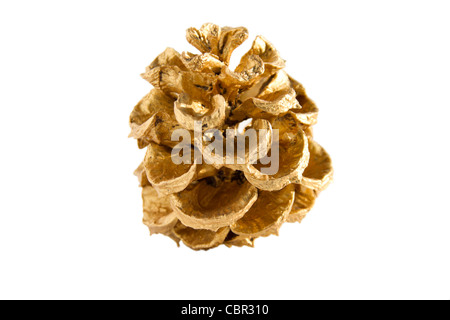 golden pine cones isolated on a white background Stock Photo - Alamy