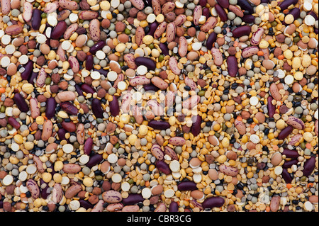 Pulses, seeds, beans and lentils mixture Stock Photo