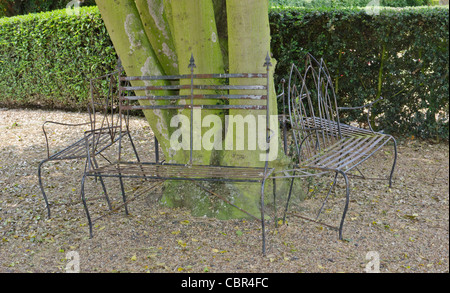 Seating around a tree in Attleborough Parish churchyard, England, UK Stock Photo