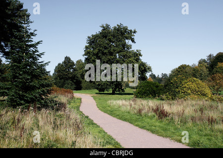 MARKS HALL GARDEN AND ARBORETUM. COGGESHALL ESSEX UK. Stock Photo