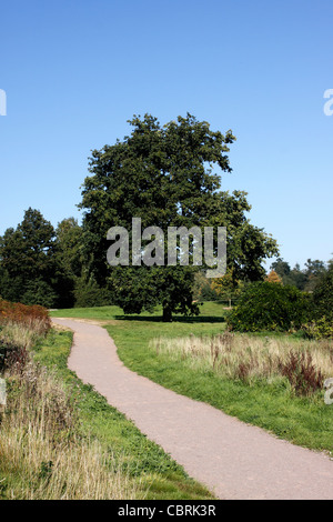 MARKS HALL GARDEN AND ARBORETUM. COGGESHALL ESSEX UK. Stock Photo