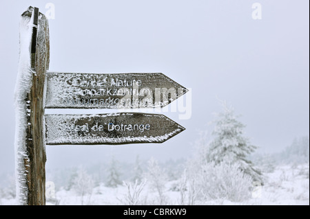 Frozen signpost covered in ice at nature reserve High Fens / Hautes Fagnes in the snow in winter, Belgian Ardennes, Belgium Stock Photo