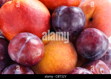 Massed plums, peaches, and nectarines Stock Photo