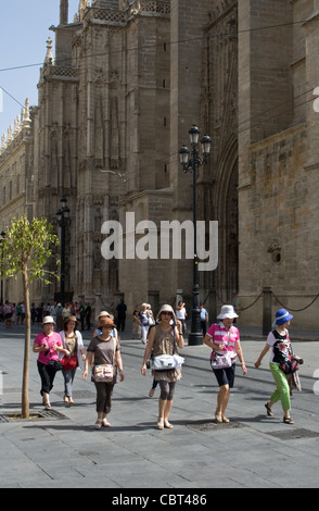 Group of female tourists walking past Seville cathedral, Avenida de la Constitucion, Seville, Andalucia, Spain Stock Photo