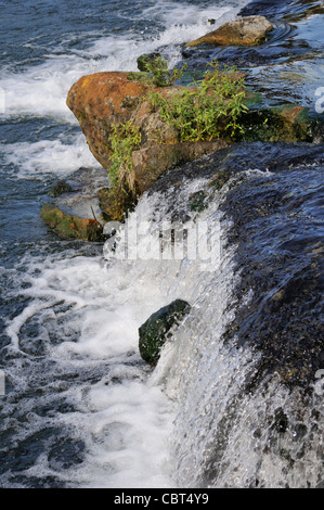 Water rushes over rocks in De Leon Springs State Park in central Florida Stock Photo