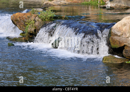 Water rushes over rocks in De Leon Springs State Park in central Florida Stock Photo