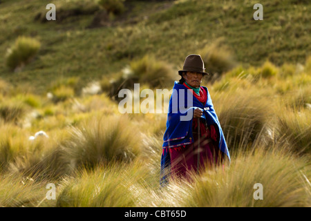 Andean Peasant Dressed In Traditional Clothes Of This Region Is Surrounded By Typical Alpine Vegetation Stock Photo