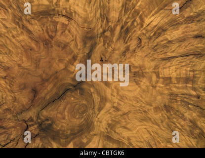 full frame abstract burl wood background Stock Photo
