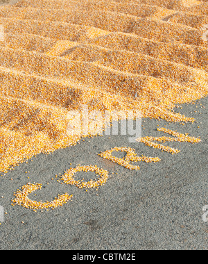 Sun Drying Maize / Corn kernels in India on a roadside with the word CORN written out. Andhra Pradesh, India Stock Photo