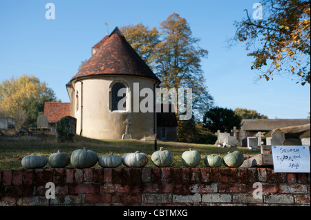 Pumpkins and squashes for sale on the church wall in Wiston on an autumn sunny day. Farming Stock Photo