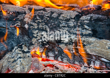 Log burning in wood stove fireplace with flames and coals Stock Photo