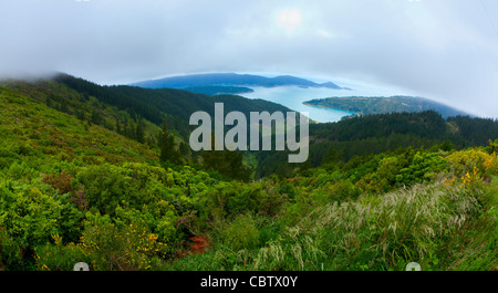 Oyster Bay in New Zealand's South Island Stock Photo