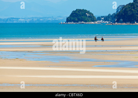 Horseback riding on the beach Stock Photo