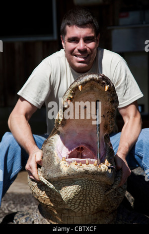 A hunter shows off a 12-foot alligator he caught during the 3-week long alligator hunting season September 27, 2009. About 300 alligators are taken during the short season out of an estimated 150,000 alligators in SC waters. Stock Photo