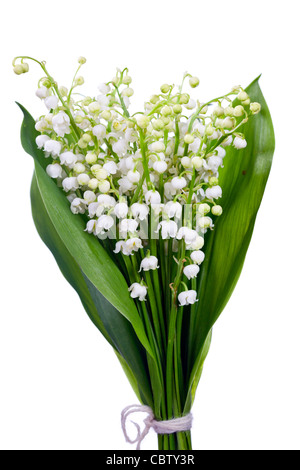 Bouquet of lily of the valley Stock Photo