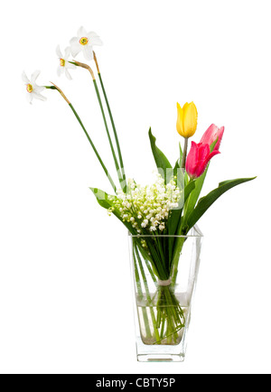 Tulips and daffodils isolated on white background floral border Stock ...