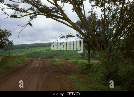 LTC Trobrough's photos of the 11th ACR and elements of the 1st Cavalry Division - including helicopters of the 1st Squadrond, 9th Cavalry at Quan Loi and the surrounding area of operations in III Corps in Vietnam. Trobough was a chaplain. Stock Photo