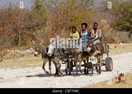 Herero family on donkey cart, Damaraland, Namibia Stock Photo