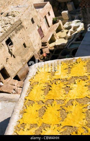 Leather hides drying in the sun at the tanneries of Fez, Northern Morocco Stock Photo