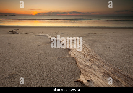 Daybreak at Punta Chame on the Pacific coast, Panama province, Republic of Panama. Stock Photo