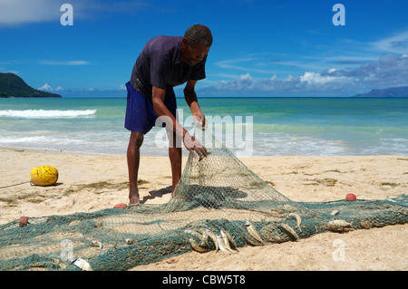 Local fisherman taking fish from the nets that have just been brought in, Seychelles, Mahe Island Stock Photo