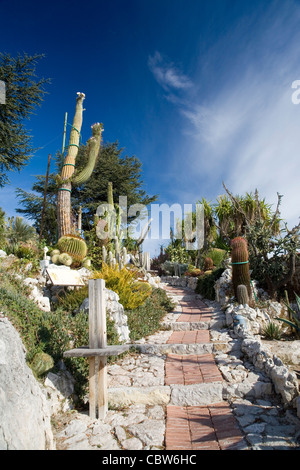 At the very top of the medieval hilltop village of Eze overlooking Cap Ferrat near Monaco is an exotic garden of cacti Stock Photo