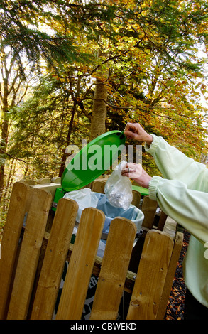 Walker throwing a plastic bag  in a trash can in the forest. Stock Photo