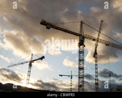 Tall cranes on a construction site Stock Photo