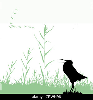 vector silhouette of the snipe Stock Photo