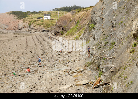 Joggins fossil cliffs, Nova Scotia Stock Photo