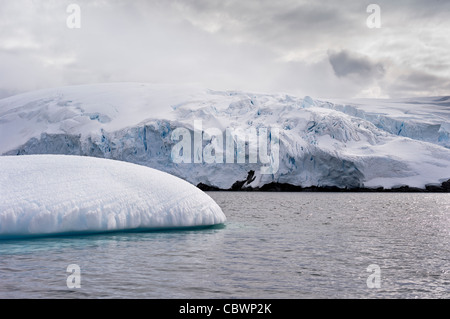 ICEBERGS PORT LOCKROY, WIENCKE ISLAND, ANTARCTICA Stock Photo