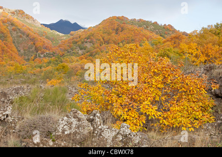 Autumnal atmosphere near Mount Etna, Sicily, Italy Stock Photo