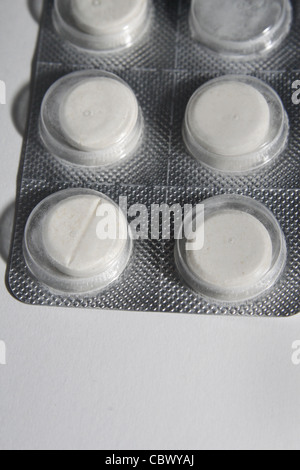 Cefalexin tablets in blister pack for animal use Stock Photo