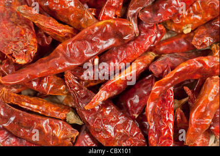 Dried chili peppers Stock Photo
